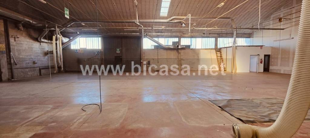 immagine annuncio 4 di 13