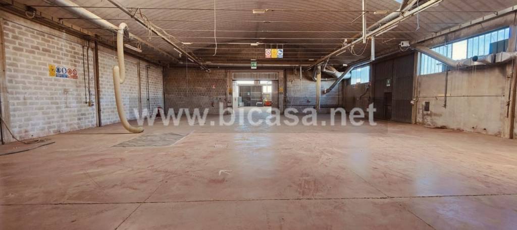 immagine annuncio 6 di 13