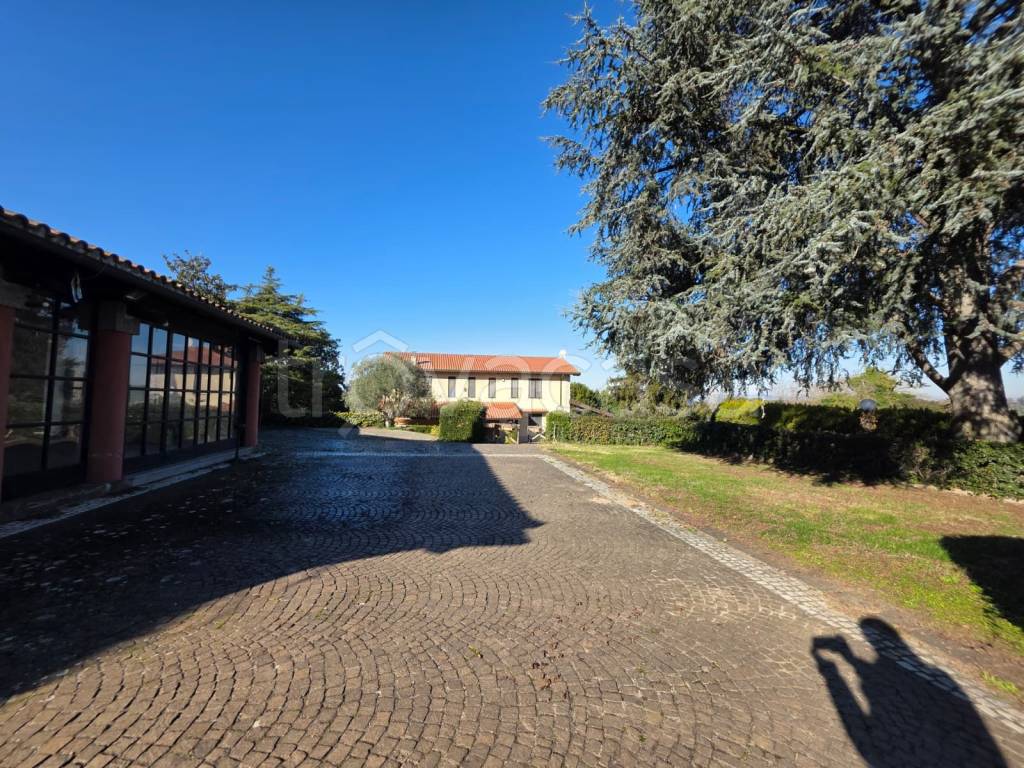 immagine annuncio 1 di 12