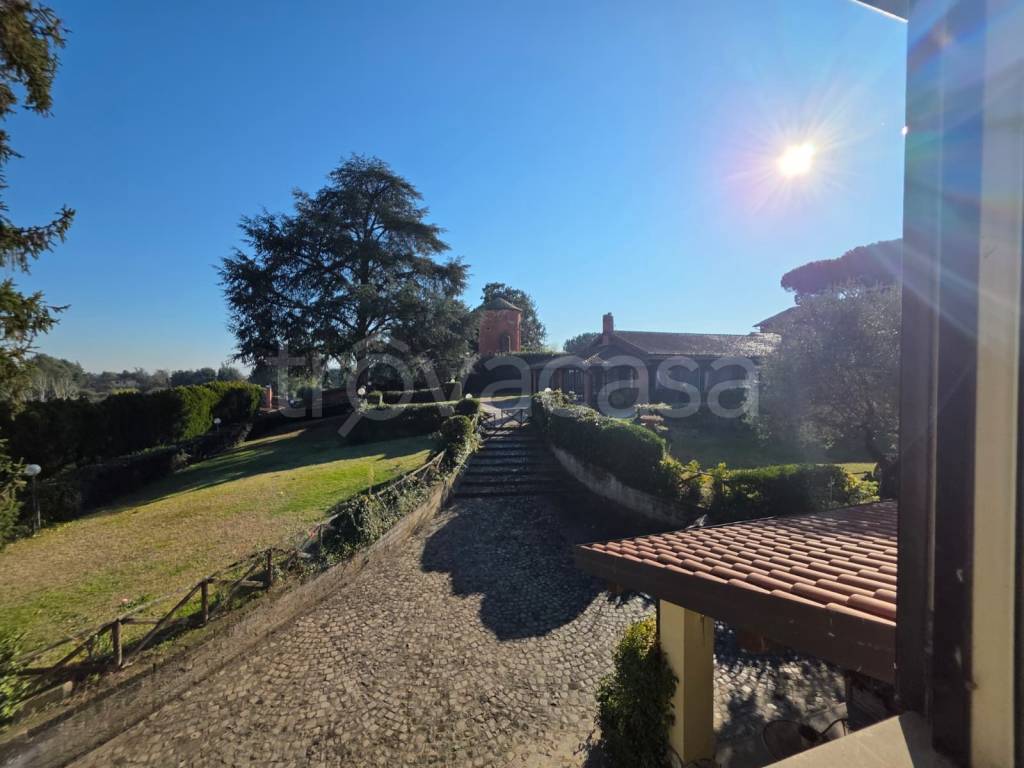 immagine annuncio 11 di 12