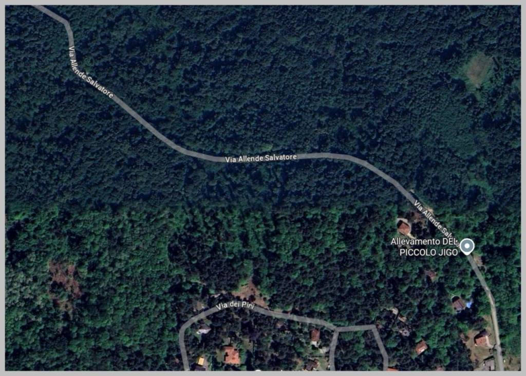 immagine annuncio 12 di 15