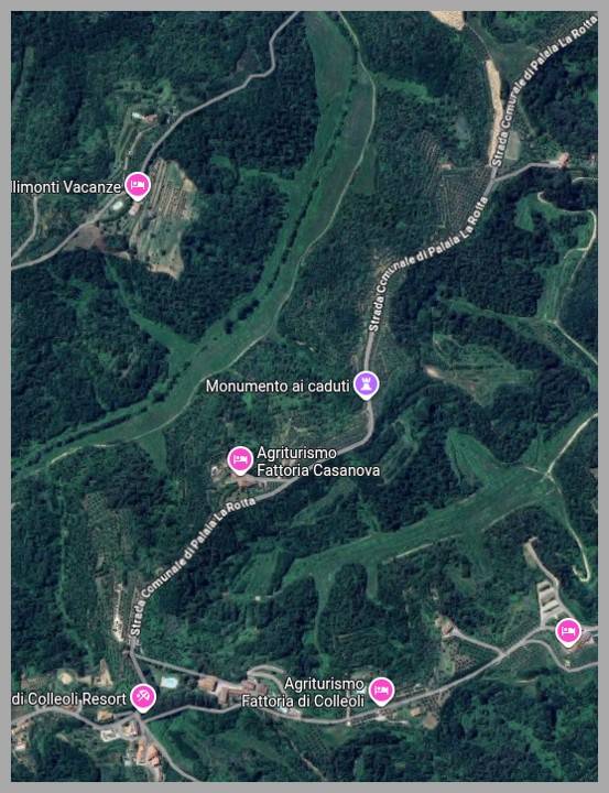 immagine annuncio 9 di 15