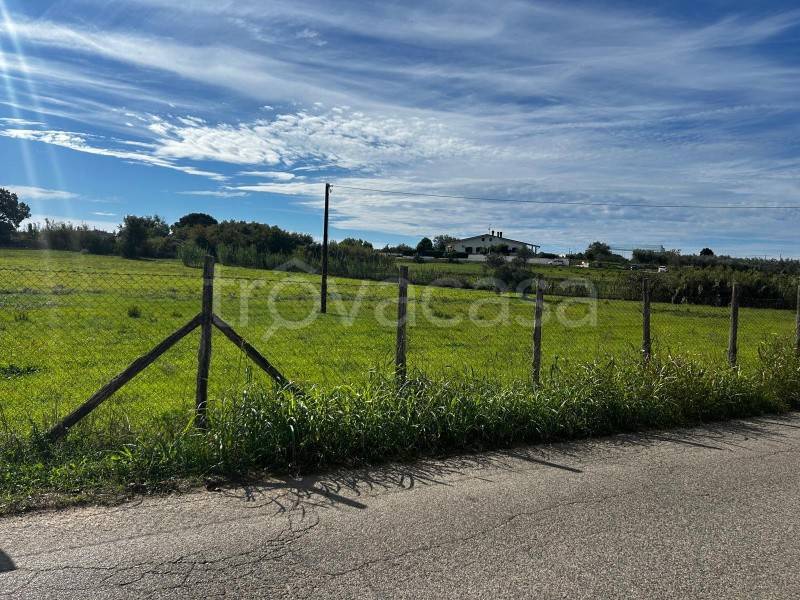 immagine annuncio 2 di 6