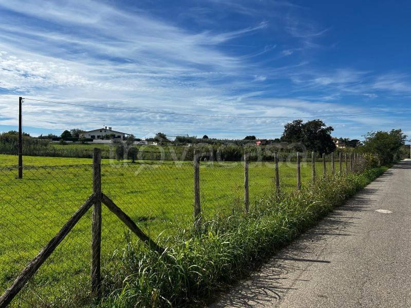 immagine annuncio 3 di 6