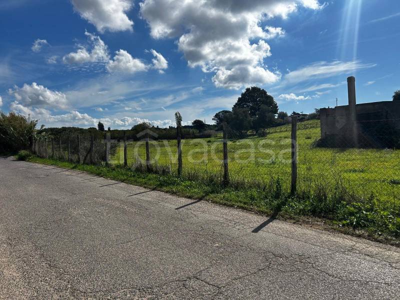 immagine annuncio 4 di 6