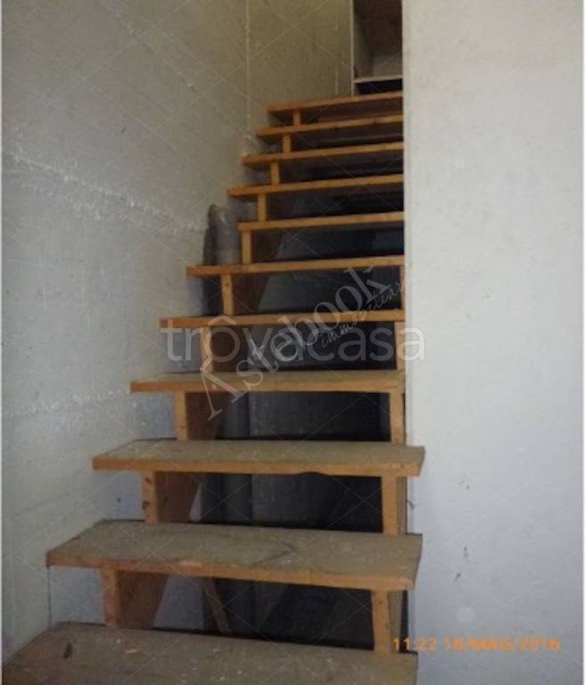 immagine annuncio 5 di 14