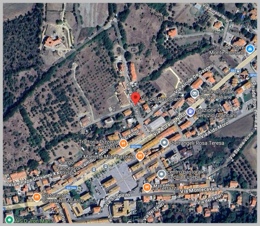 immagine annuncio 6 di 15