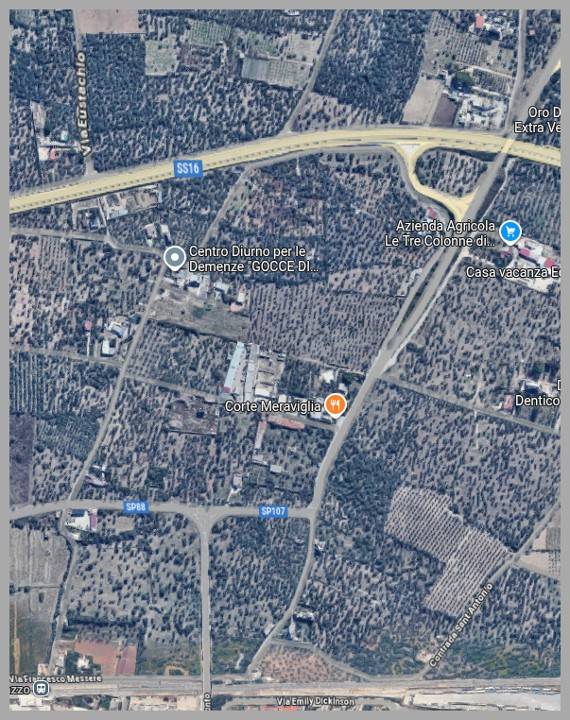 immagine annuncio 9 di 15