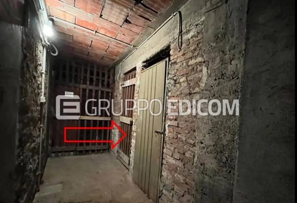 immagine annuncio 11 di 15