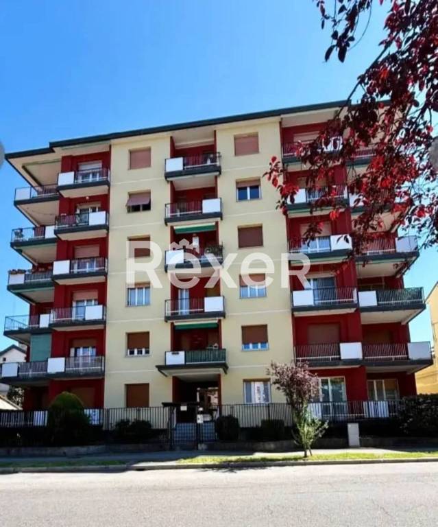 immagine annuncio 6 di 14