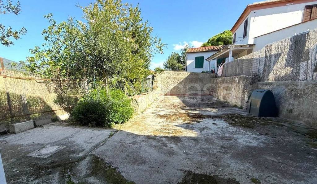 immagine annuncio 9 di 14