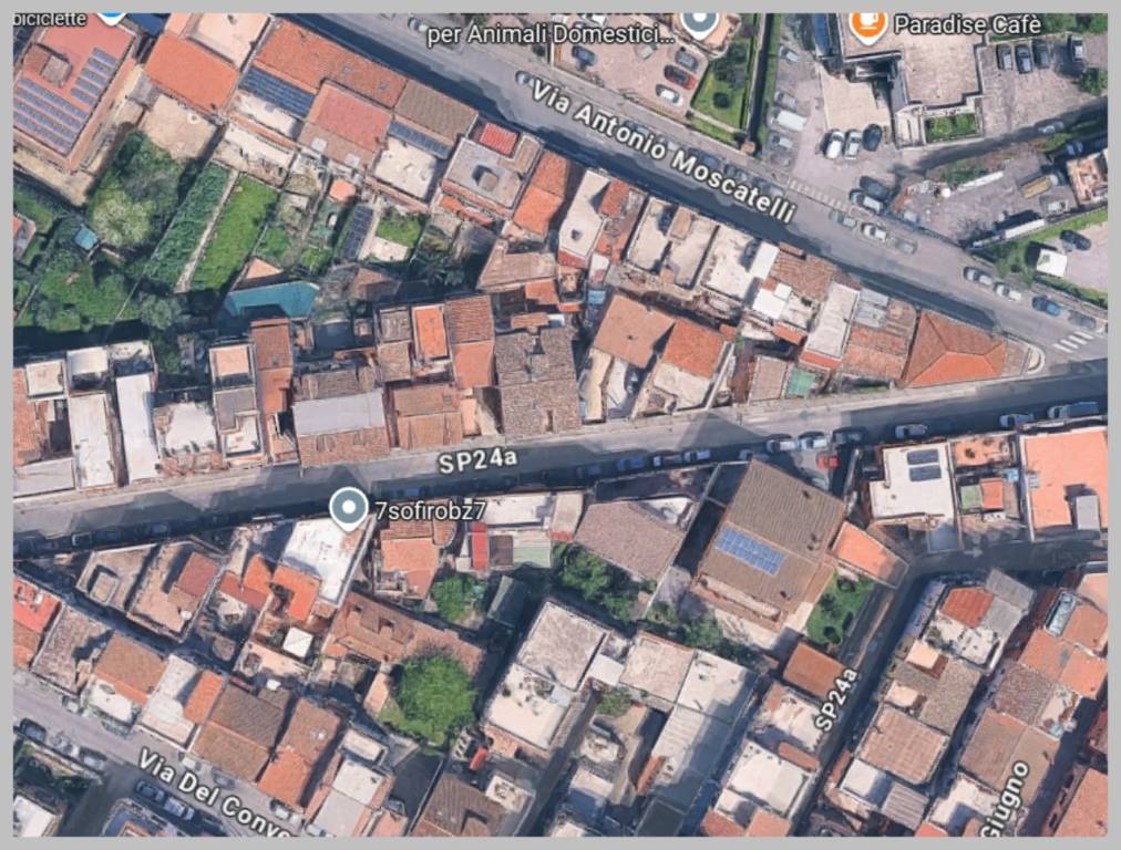 immagine annuncio 5 di 15