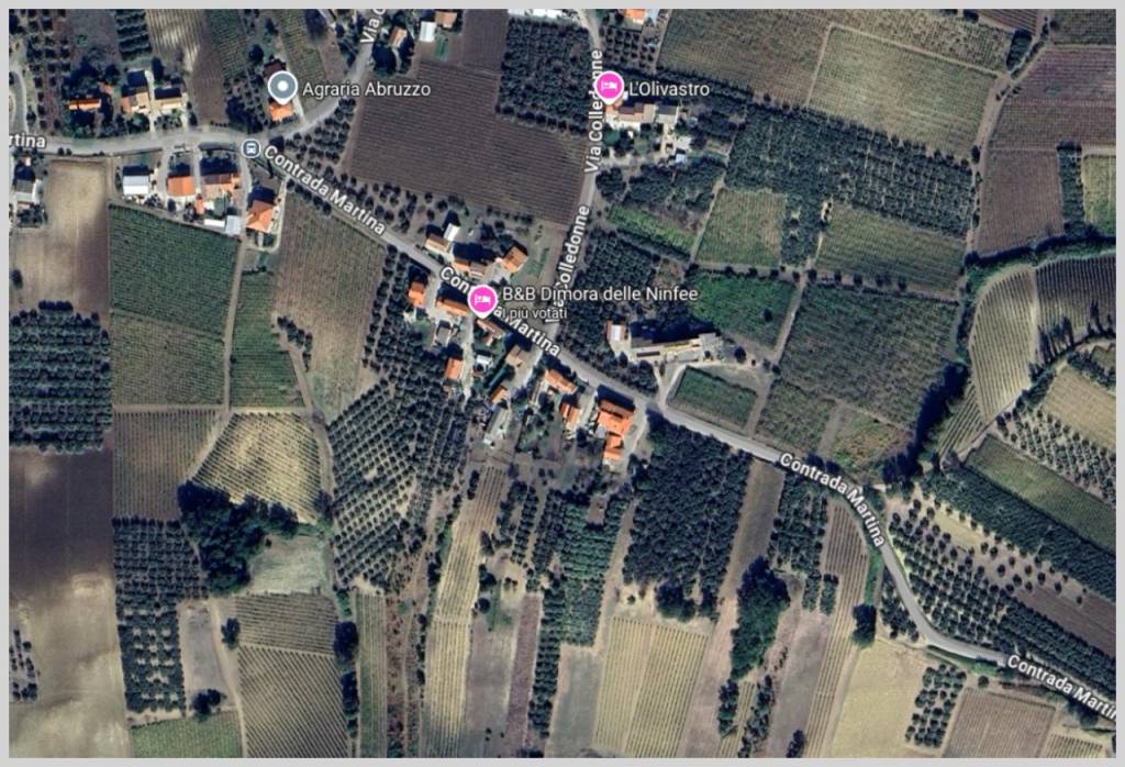 immagine annuncio 12 di 15