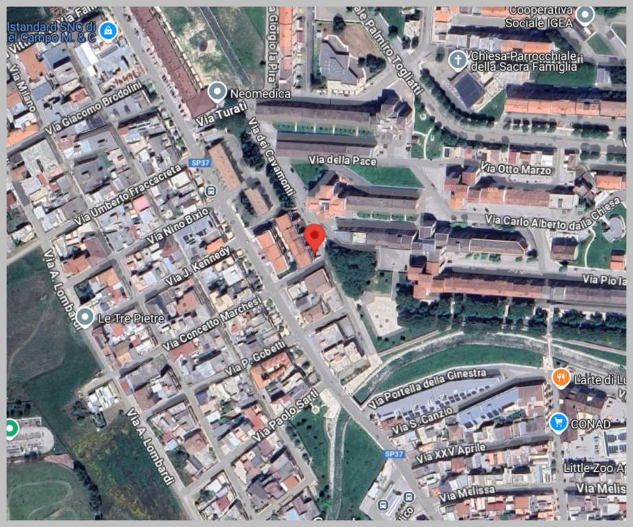 immagine annuncio 6 di 15