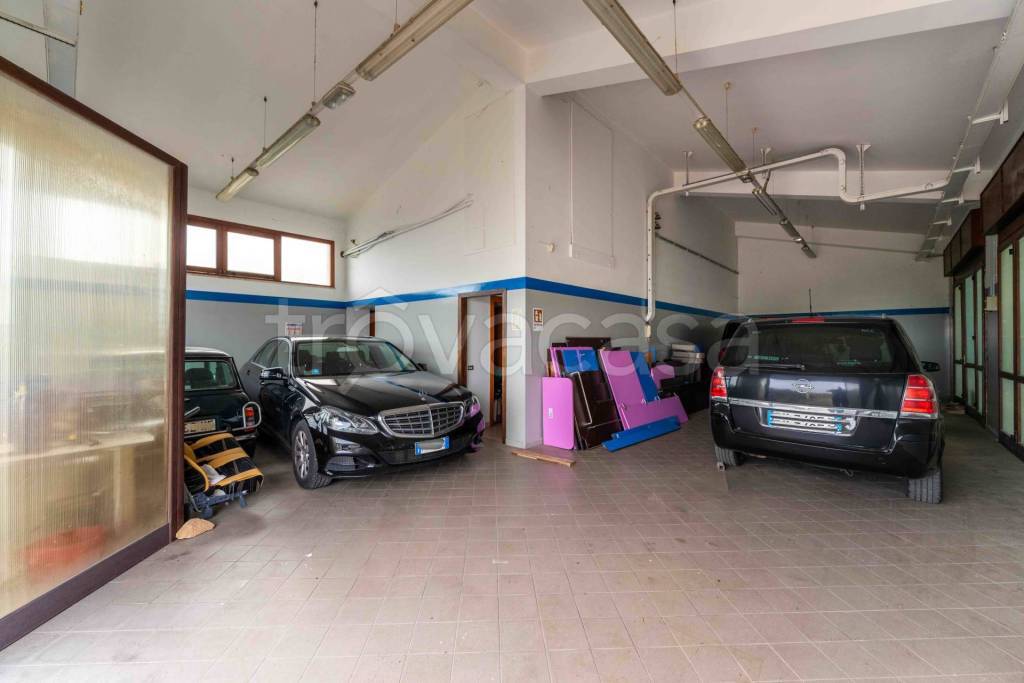 immagine annuncio 3 di 11