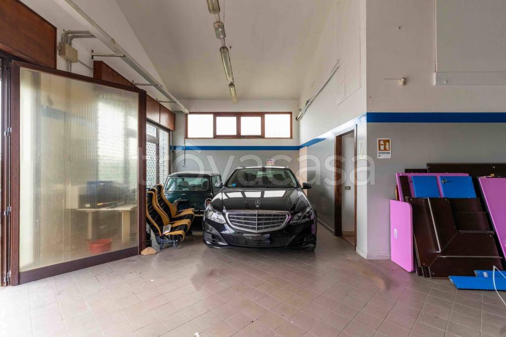 immagine annuncio 5 di 11