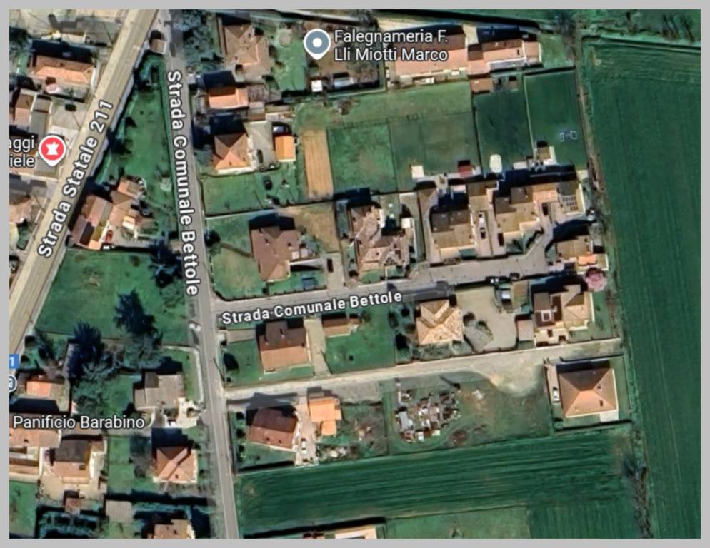 immagine annuncio 9 di 15