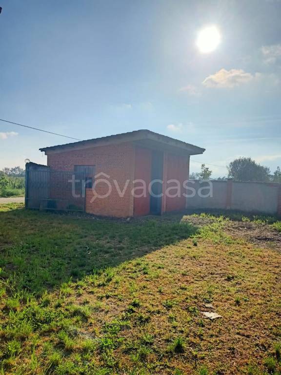 immagine annuncio 7 di 15