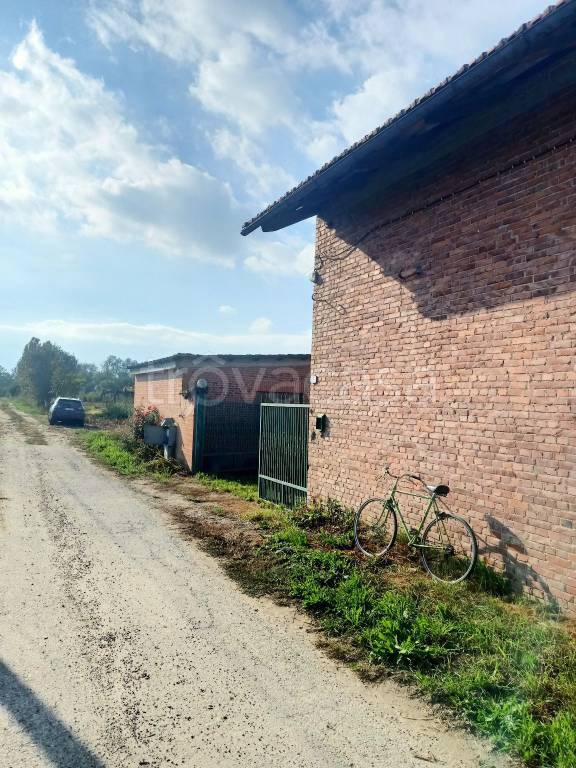 immagine annuncio 5 di 15