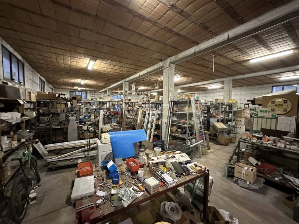 immagine annuncio 5 di 14