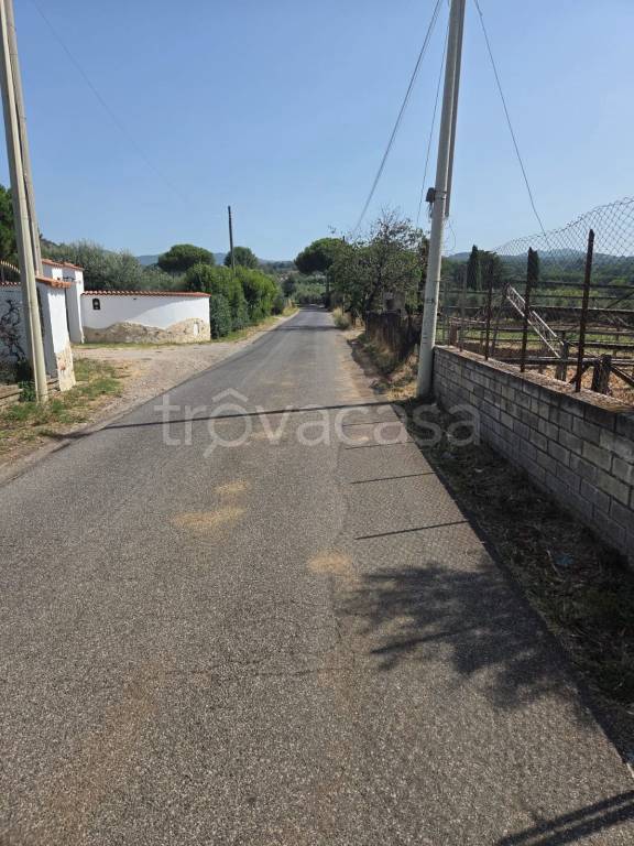 immagine annuncio 8 di 14