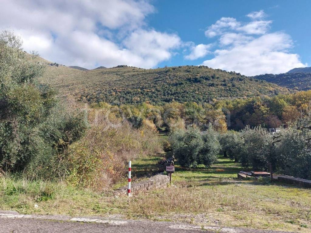 immagine annuncio 8 di 12