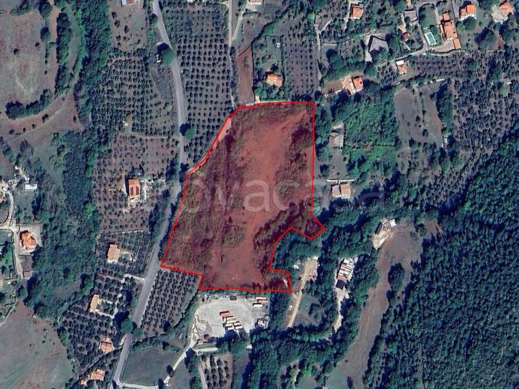 immagine annuncio 9 di 12