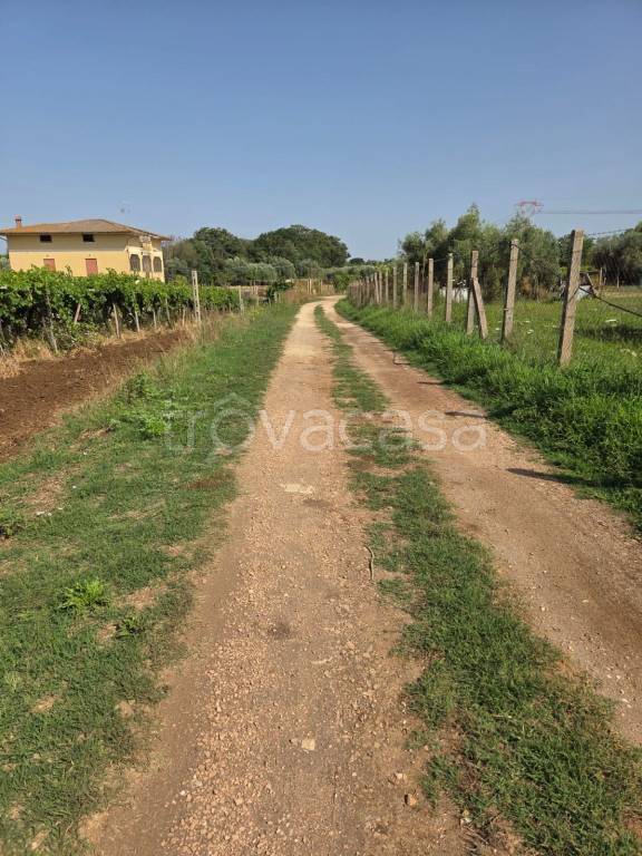 immagine annuncio 10 di 14