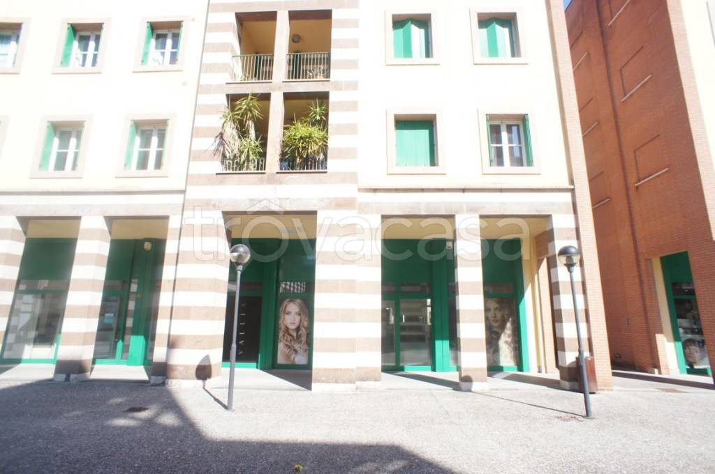 immagine annuncio 3 di 14