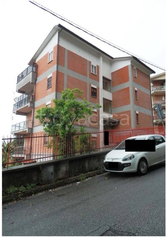 immagine annuncio 4 di 12