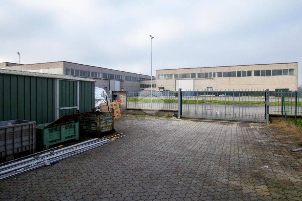 immagine annuncio 6 di 15