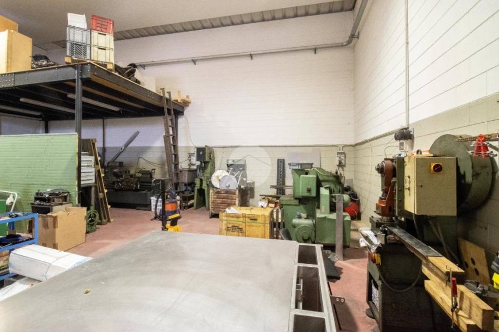 immagine annuncio 12 di 15