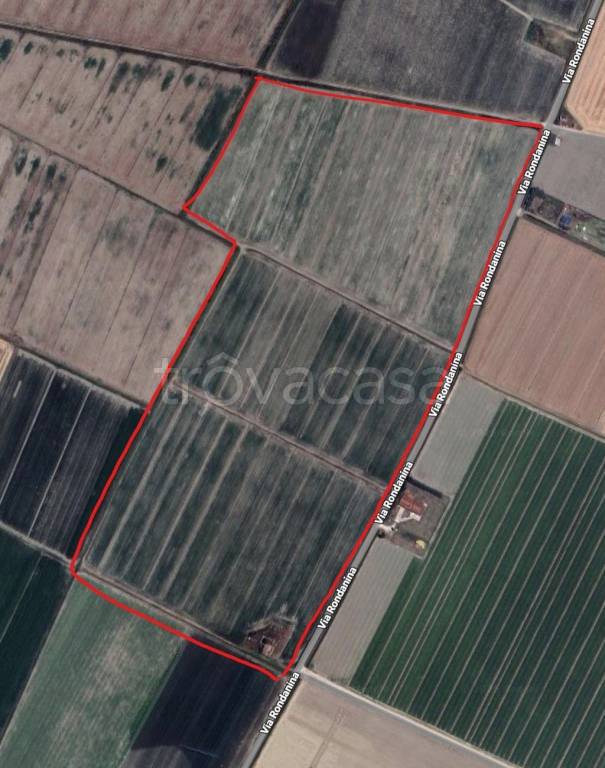 immagine annuncio 2 di 3