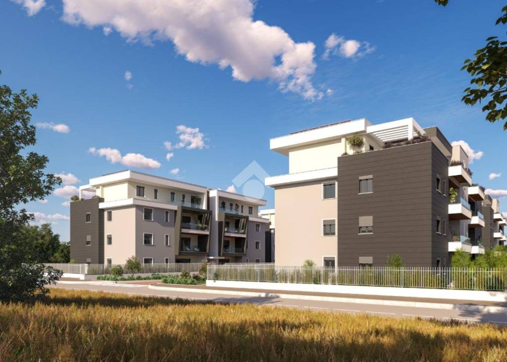 immagine annuncio 1 di 12