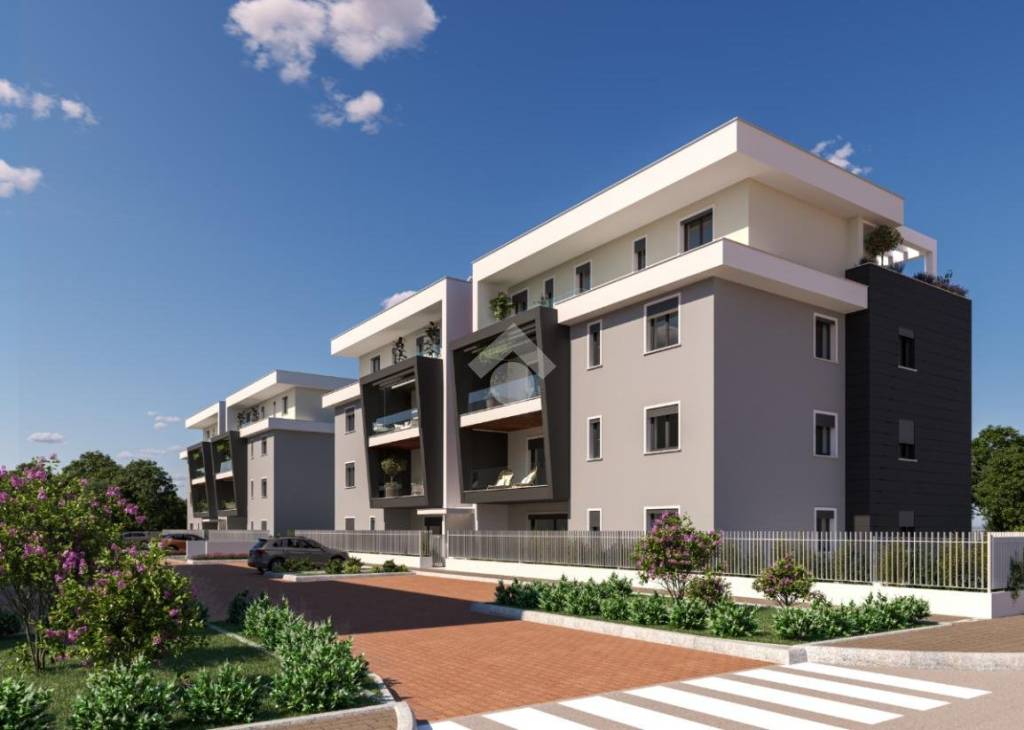 immagine annuncio 9 di 12