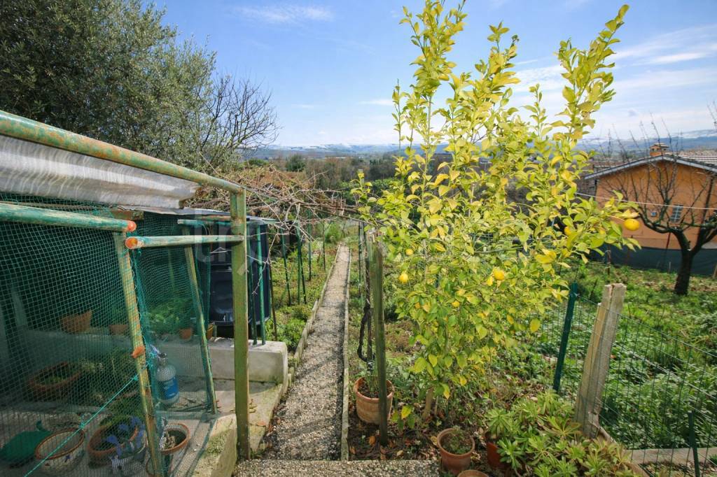 immagine annuncio 8 di 9