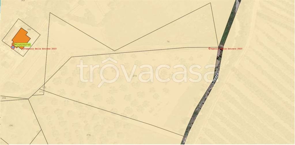 immagine annuncio 1 di 8