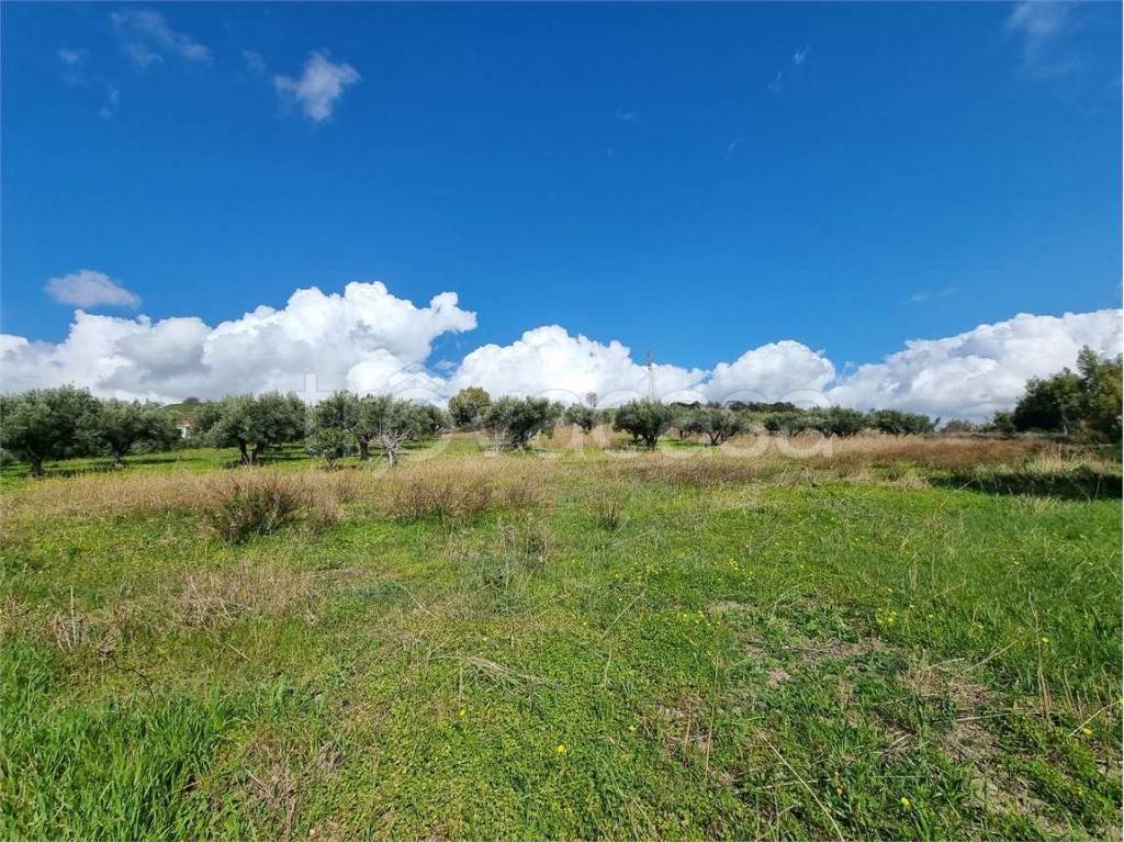 immagine annuncio 4 di 8