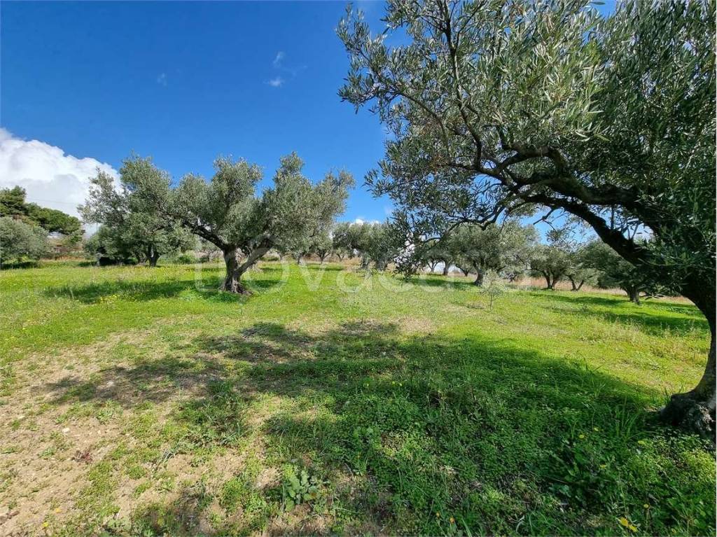 immagine annuncio 5 di 8