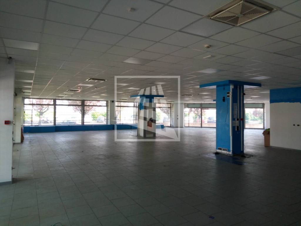 immagine annuncio 1 di 14