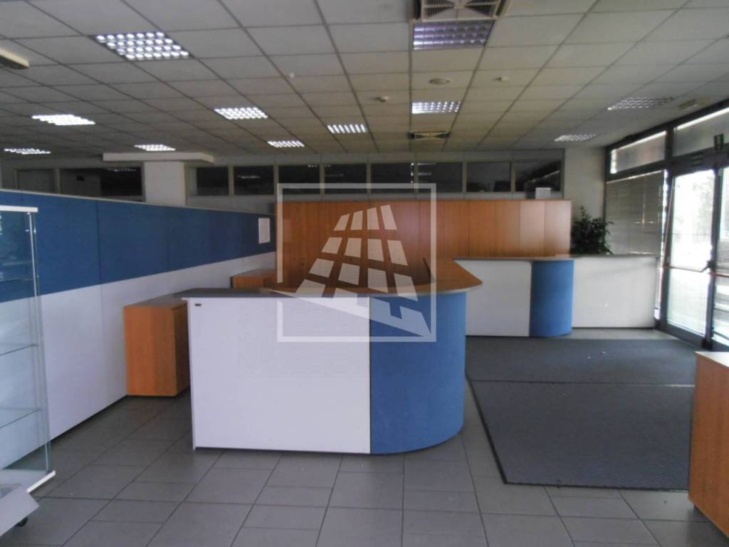 immagine annuncio 7 di 14