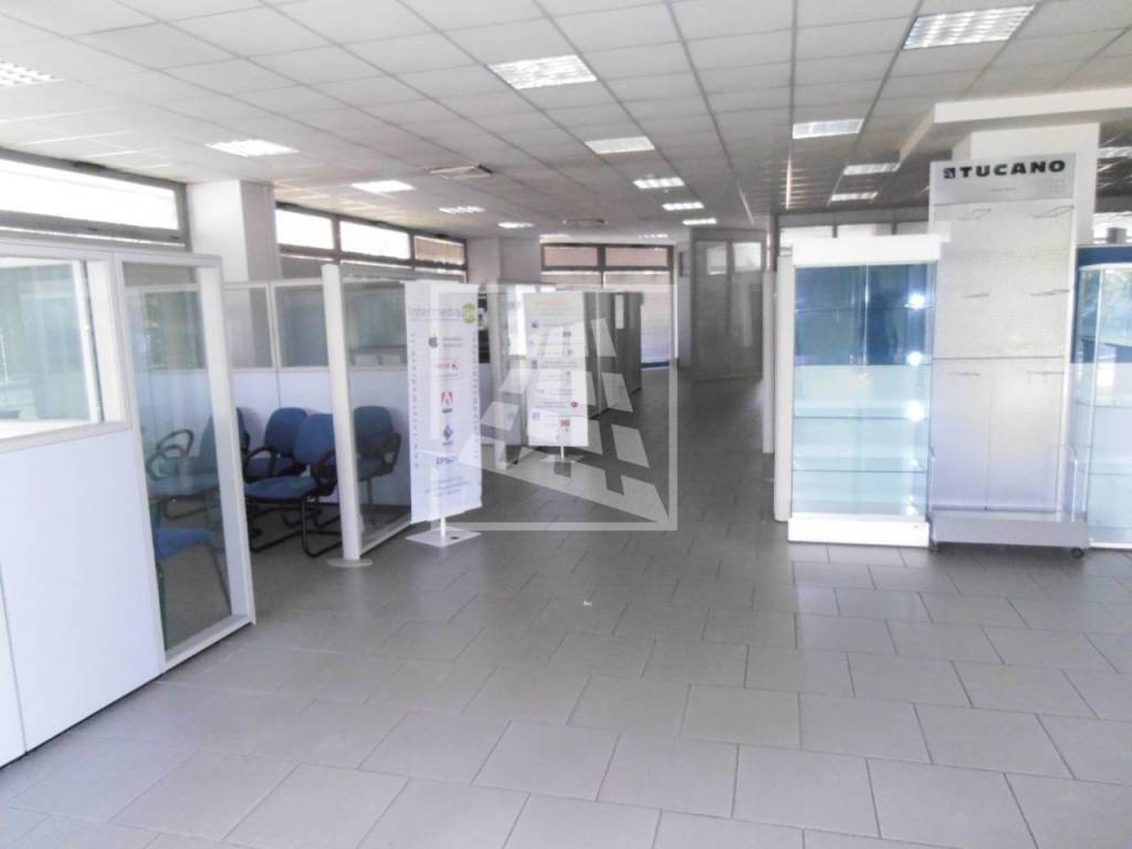 immagine annuncio 9 di 14