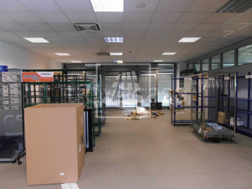 immagine annuncio 12 di 14