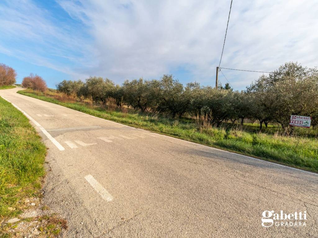 immagine annuncio 8 di 14