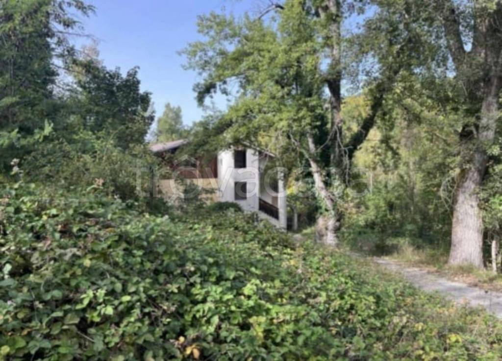 immagine annuncio 5 di 11