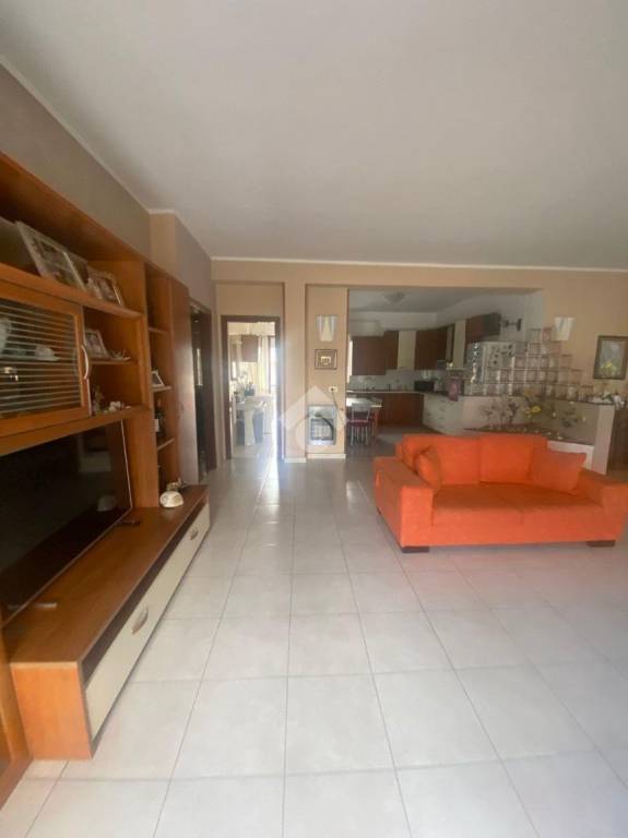 immagine annuncio 12 di 14