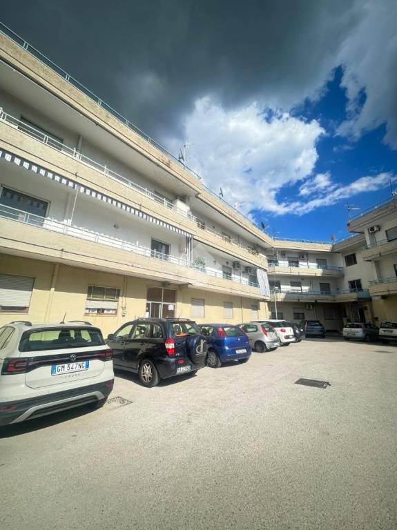 immagine annuncio 3 di 11