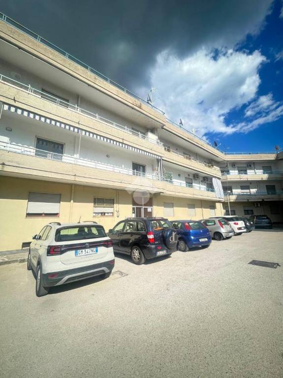 immagine annuncio 4 di 11