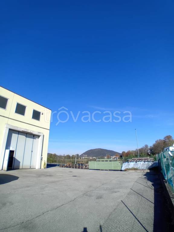 immagine annuncio 1 di 9