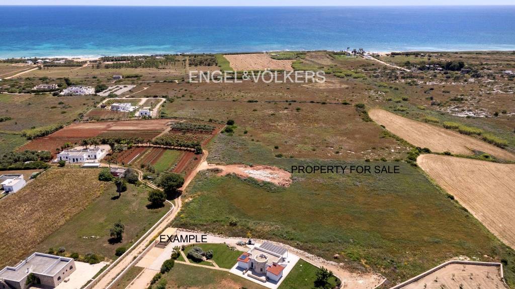 immagine annuncio 7 di 8